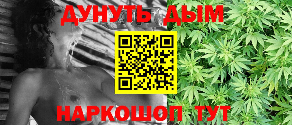 Канабис планчик  Конопля ГИДРОПОН  Карачаевск  Канабис White Widow  Вход с VPN 